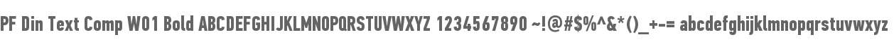PF Din Text Comp W01 Bold