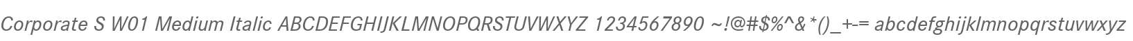 Corporate S W01 Medium Italic