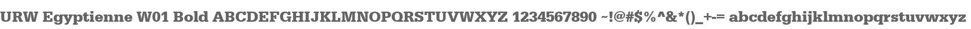URW Egyptienne W01 Bold