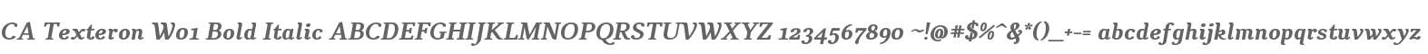 CA Texteron W01 Bold Italic