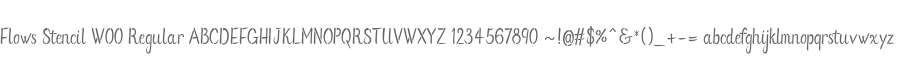 Flows Stencil W00 Regular