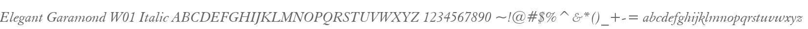 Elegant Garamond W01 Italic