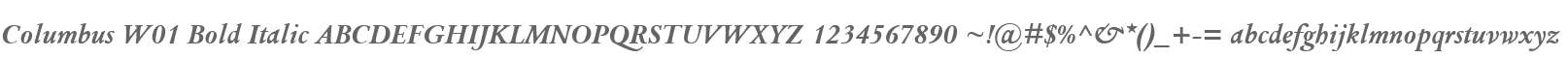 Columbus W01 Bold Italic