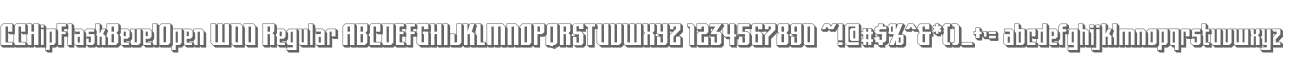 CCHipFlaskBevelOpen W00 Regular