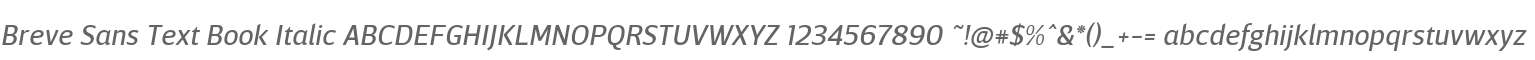 BreveSansText-BookItalic