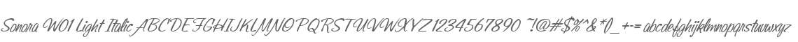 Sonora W01 Light Italic
