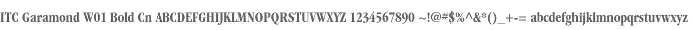 ITC Garamond W01 Bold Cn