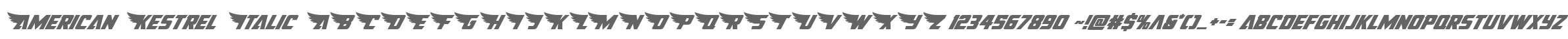 American Kestrel Italic