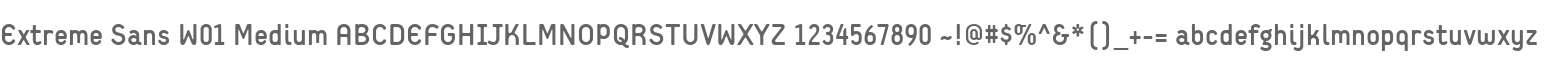Extreme Sans W01 Medium
