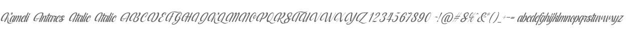 Kameli Antares Italic