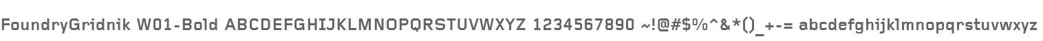 FoundryGridnik W01-Bold