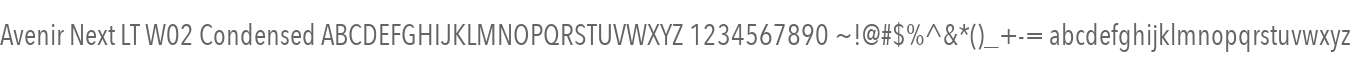 Avenir Next LT W02 Condensed