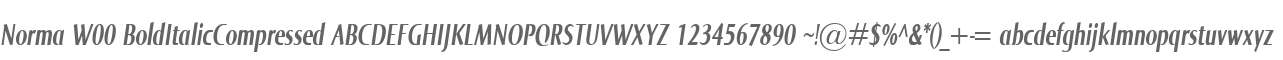 Norma W00 BoldItalicCompressed
