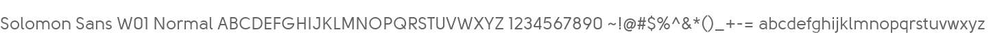 Solomon Sans W01 Normal