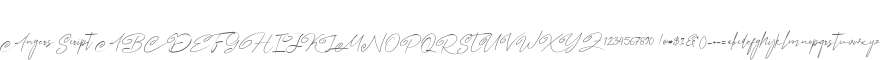 Angers Script