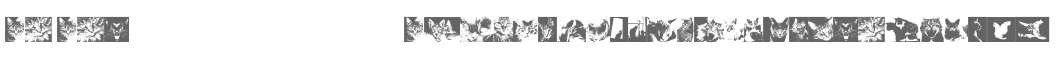 CatBats
