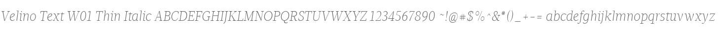 Velino Text W01 Thin Italic
