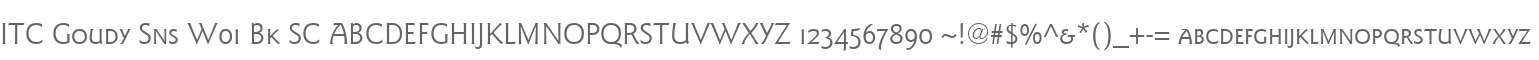 ITC Goudy Sns W01 Bk SC