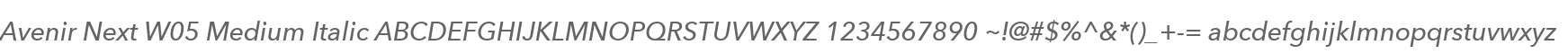 Avenir Next W05 Medium Italic