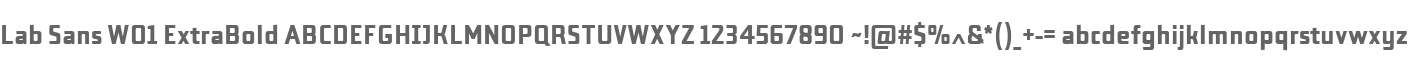 Lab Sans W01 ExtraBold