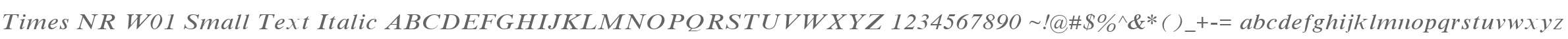 Times NR W01 Small Text Italic