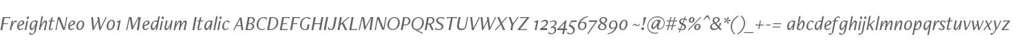 FreightNeo W01 Medium Italic