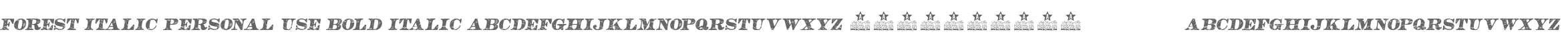 FOREST ITALIC PERSONAL USE Bold Italic