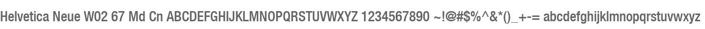 Helvetica Neue W02 67 Md Cn