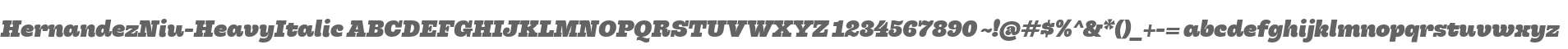 HernandezNiu-HeavyItalic