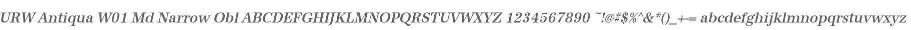 URW Antiqua W01 Md Narrow Obl