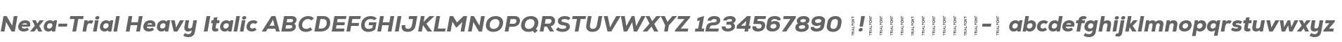 Nexa-Trial Heavy Italic