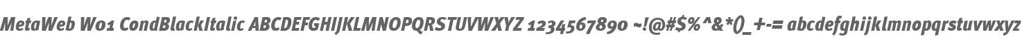 MetaWeb W01 CondBlackItalic