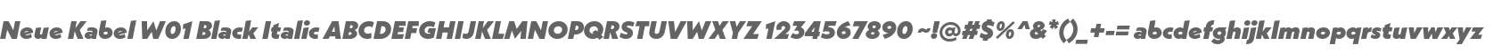Neue Kabel W01 Black Italic