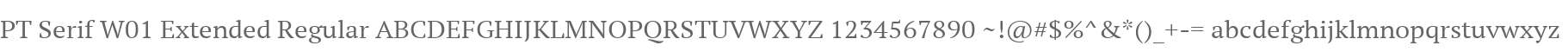 PT Serif W01 Extended Regular