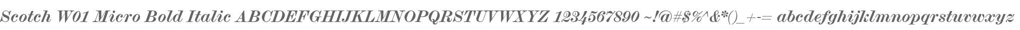 Scotch W01 Micro Bold Italic