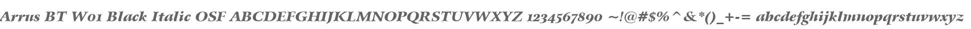 Arrus BT W01 Black Italic OSF
