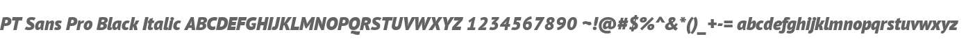 PT Sans Pro Black Italic