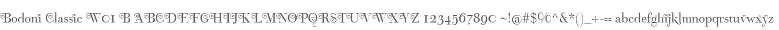 Bodoni Classic W01 B