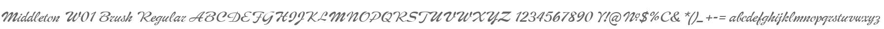 Middleton W01 Brush Regular