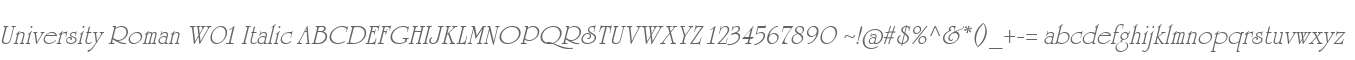 University Roman W01 Italic