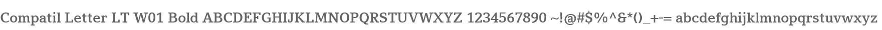 Compatil Letter LT W01 Bold