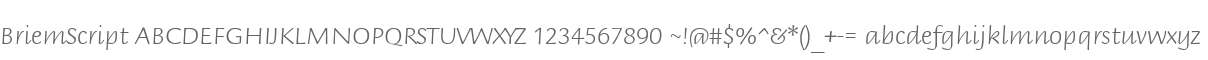 BriemScript