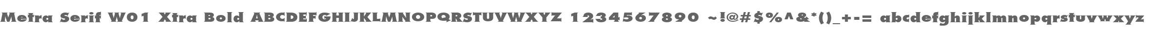 Metra Serif W01 Xtra Bold