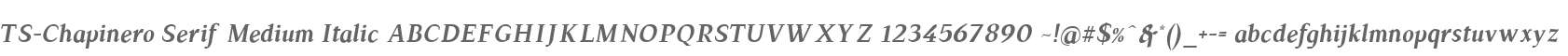 TS-Chapinero Serif Medium Italic