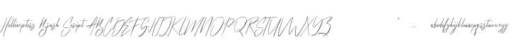 Hellicopters Brush Script