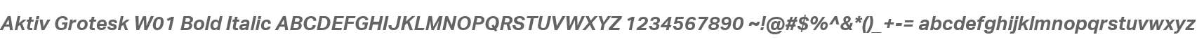 Aktiv Grotesk W01 Bold Italic