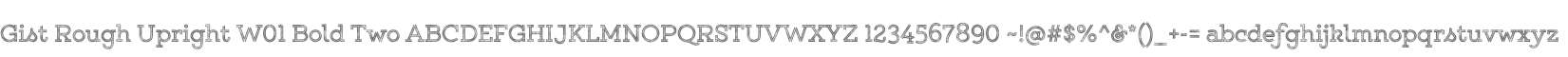 Gist Rough Upright W01 Bold Two