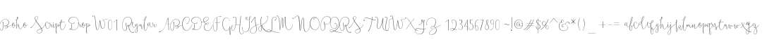 Boho Script Drop W01 Regular
