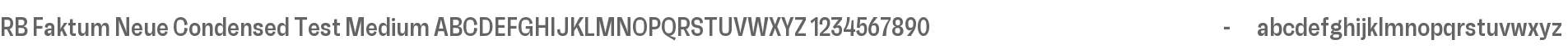 RB Faktum Neue Condensed Test Medium