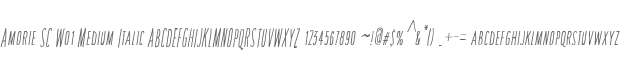 Amorie SC W01 Medium Italic
